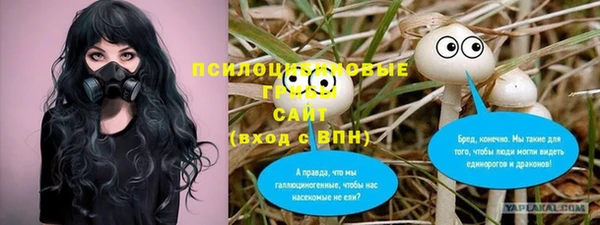 2c-b Верхний Тагил
