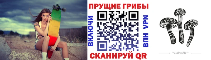 Купить где  Павловский Посад  Псилоцибиновые грибы Magic Shrooms 